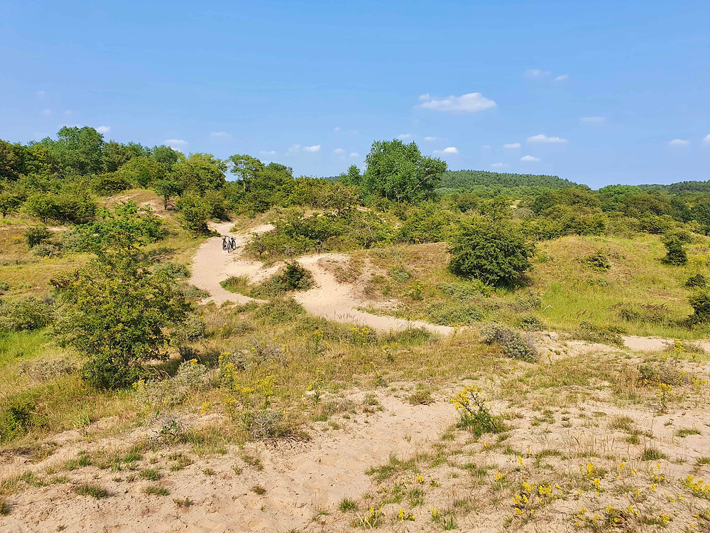 Cycling in National Park Zuid-Kennermerland-Velsen-Netherlands