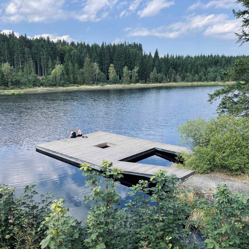 Lake of TannerMoor NP - Upper Austria