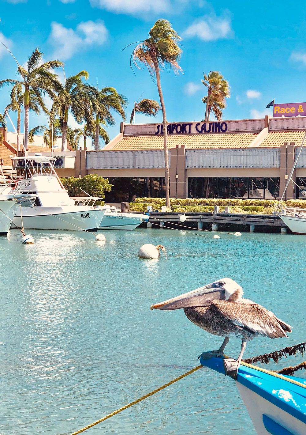 Harbour Aruba