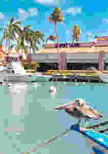 Harbour Aruba