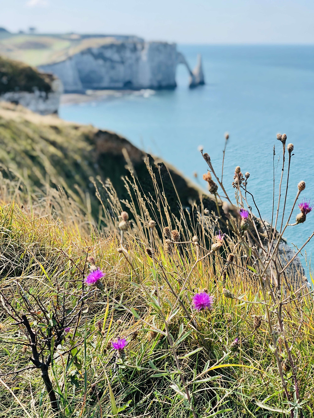 Normandy France