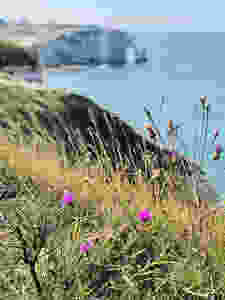 Normandy France