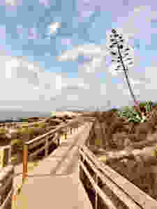 Algarve Portugal