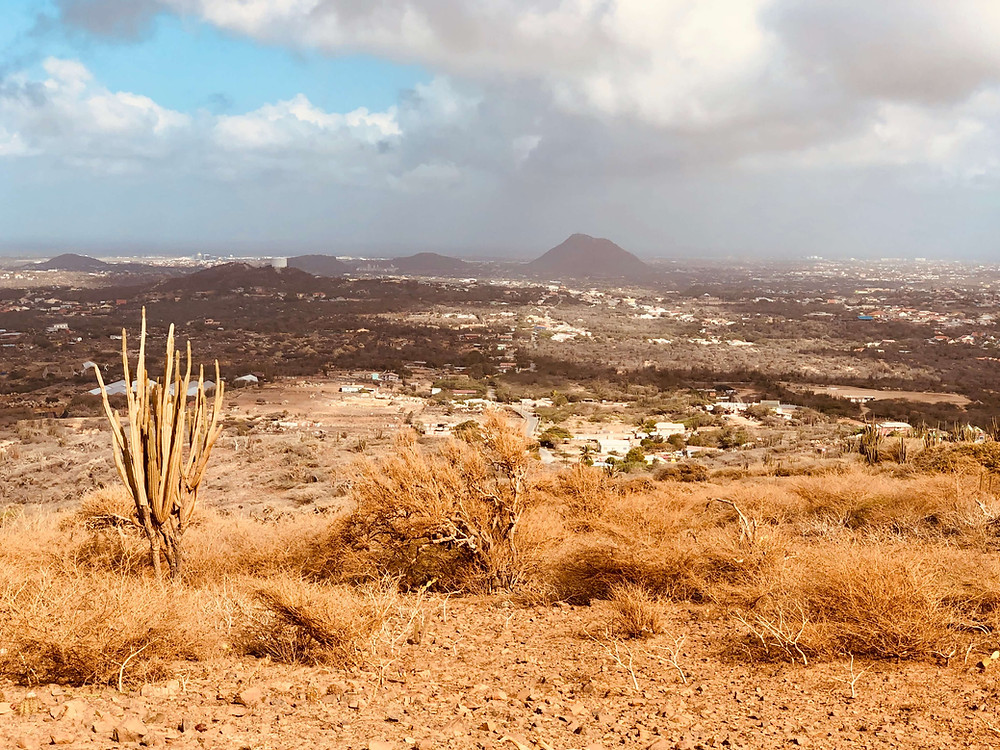 Aruba