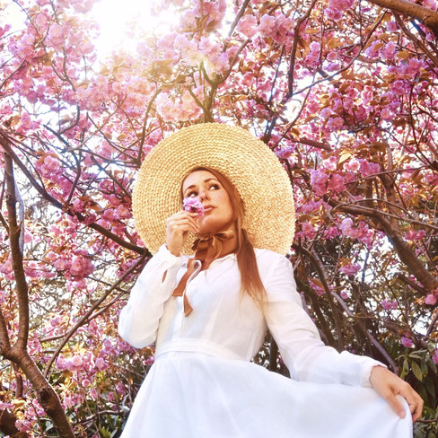 Blossom season - the Netherlands