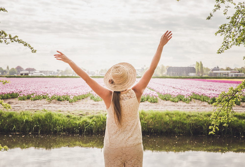 Flowerfields Lisse, the Netherlands