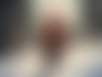 А расповім я вам історію...Одного разу в студену зимову пору...