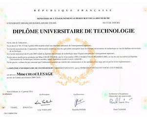 diplome DUT.jpg