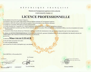 diplome licence.jpeg