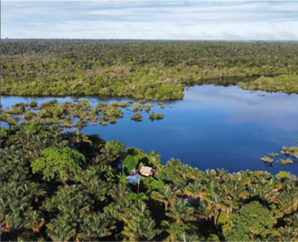 Forêt amazonienne luxuriante, rivière et petite hutte.
