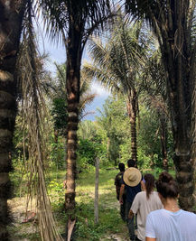 Personnes marchant dans une forêt tropicale