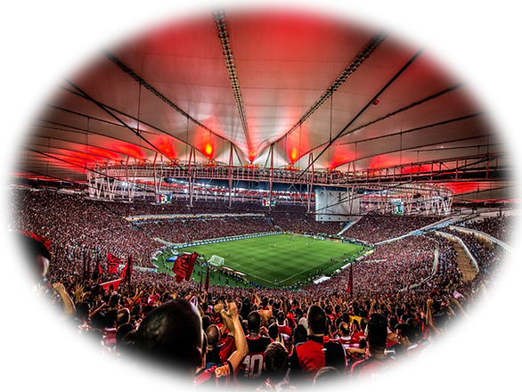 MARACANÃ Voyagez Rio.png
