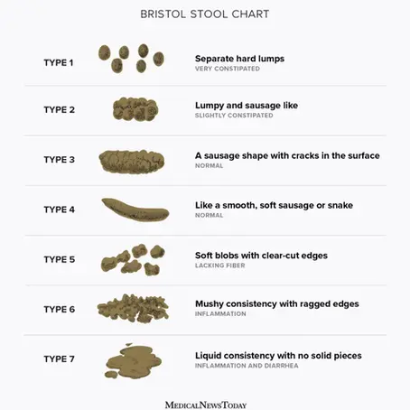Understanding Your Digestive Health: The Bristol Stool Chart