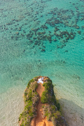 DJI_20260304164222_0007_D.jpg