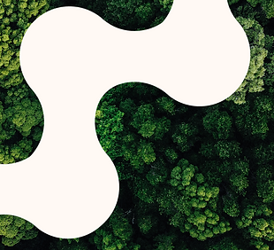 Untitled design (9).png