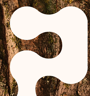 Untitled design (5).png