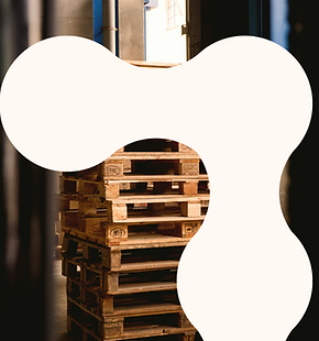 Untitled design (12).png