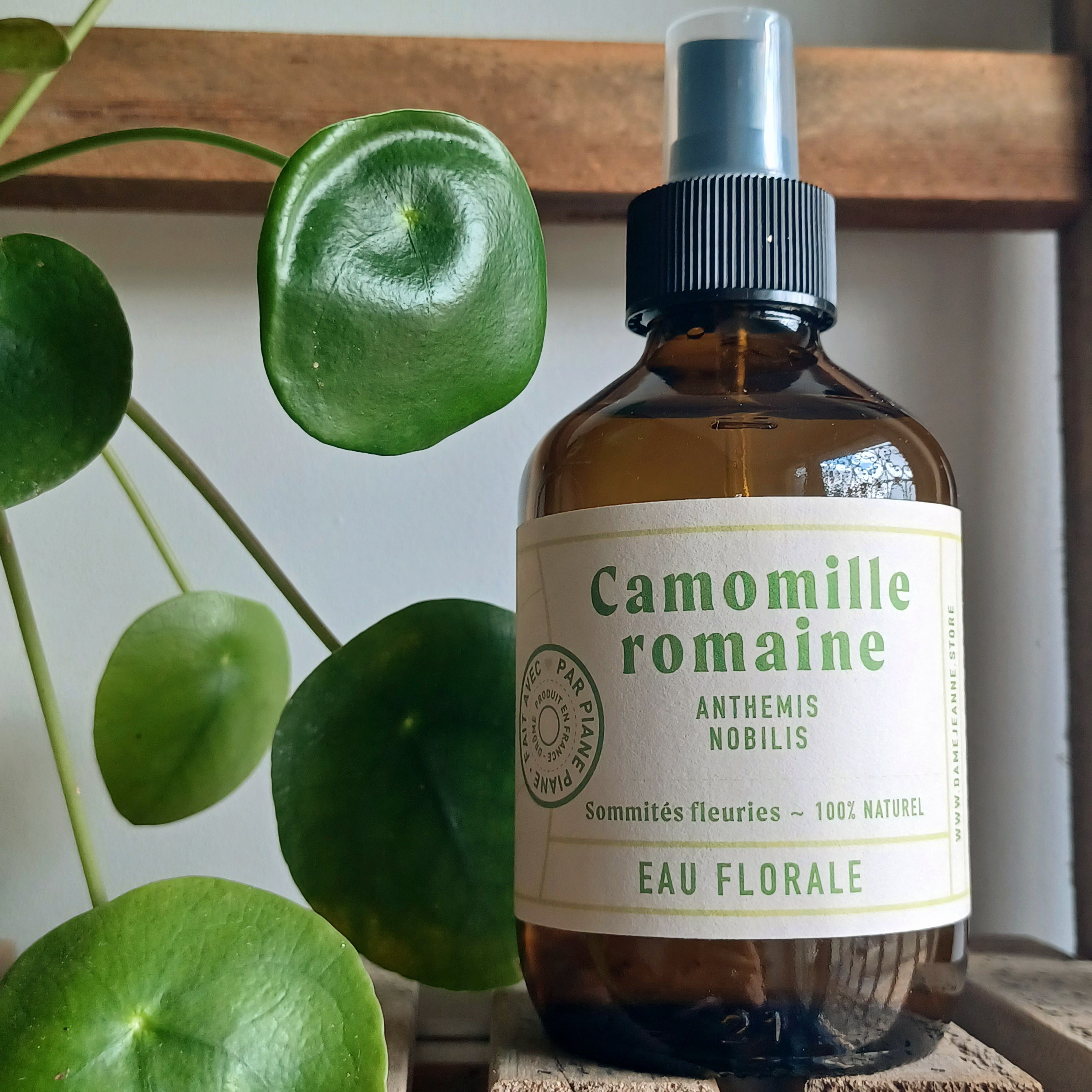 Eau florale bio Camomille romaine