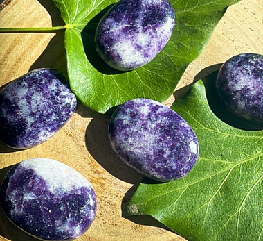 WhatsApp Image 2024-03-25 at 10.19.37 PM.jpeg