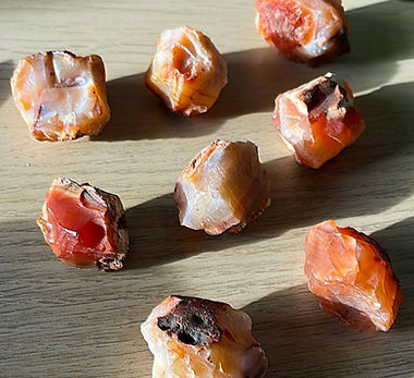 WhatsApp Image 2024-02-15 at 7.48.54 PM (4).jpeg