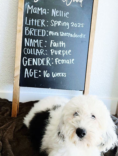 faith week 16 mama nellie picture.jpg