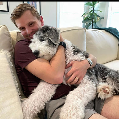 Sheepadoodle puppies for sale