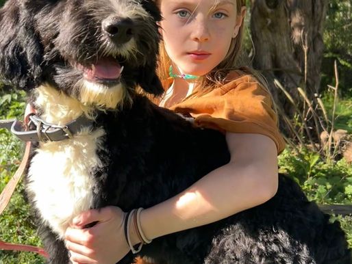 Puppy Picture Day