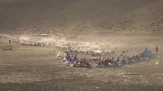 sergey-pesterev-i-P1lmY_e1w-unsplash (1)_edited.jpg