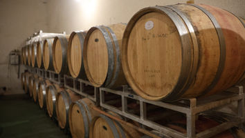 Chateau La Croix du Grand Jard:來自波爾多的純粹風土