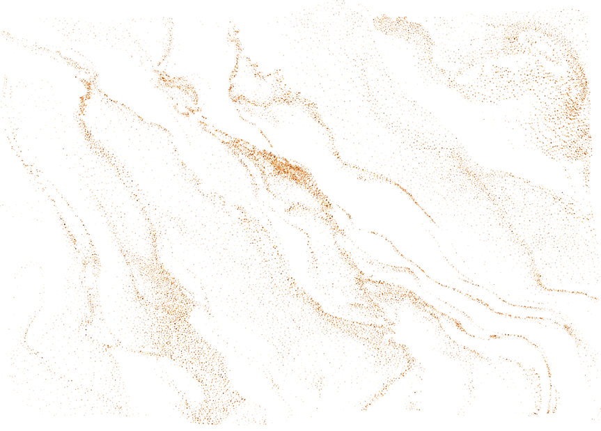 texture 1.png