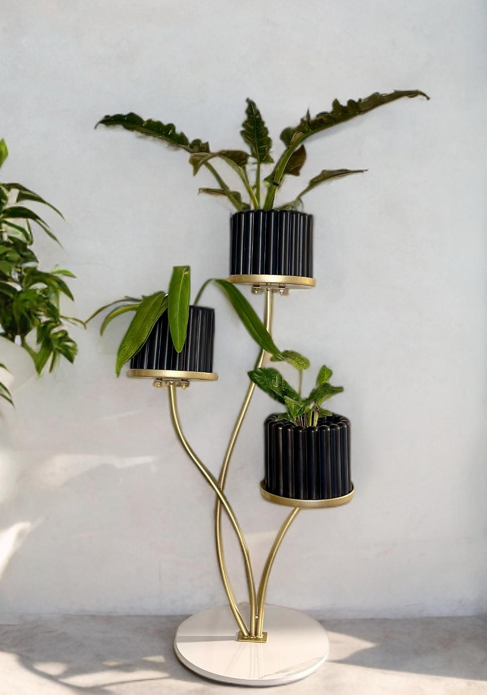 Trifecta Stand - Gold