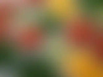 Creating a Meal Prep Plan for Young Athletes: Tips and Tricks for Success