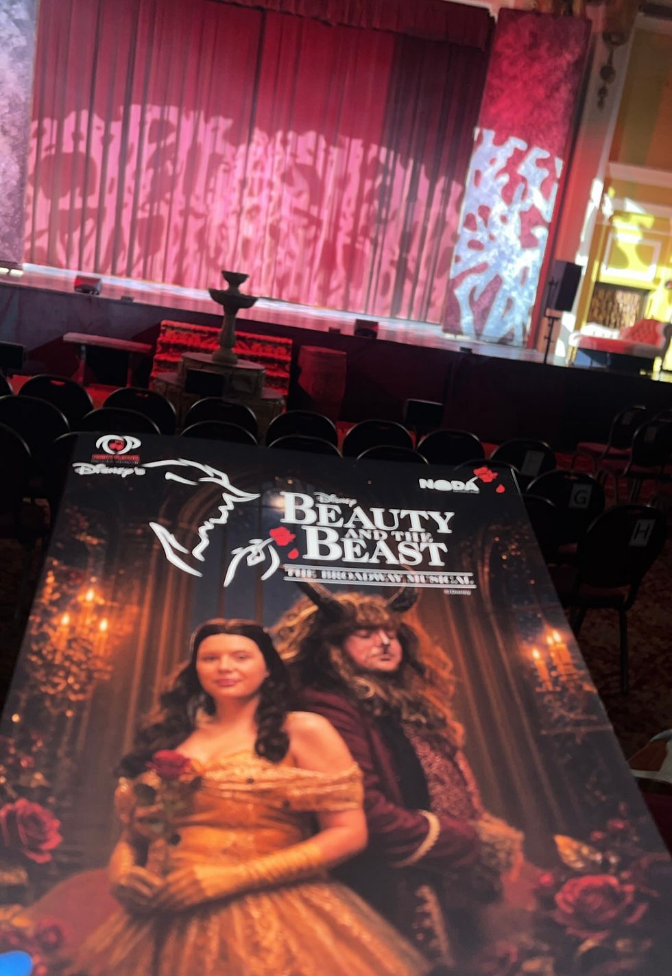 Review - Trinity players, Beauty and the Beast