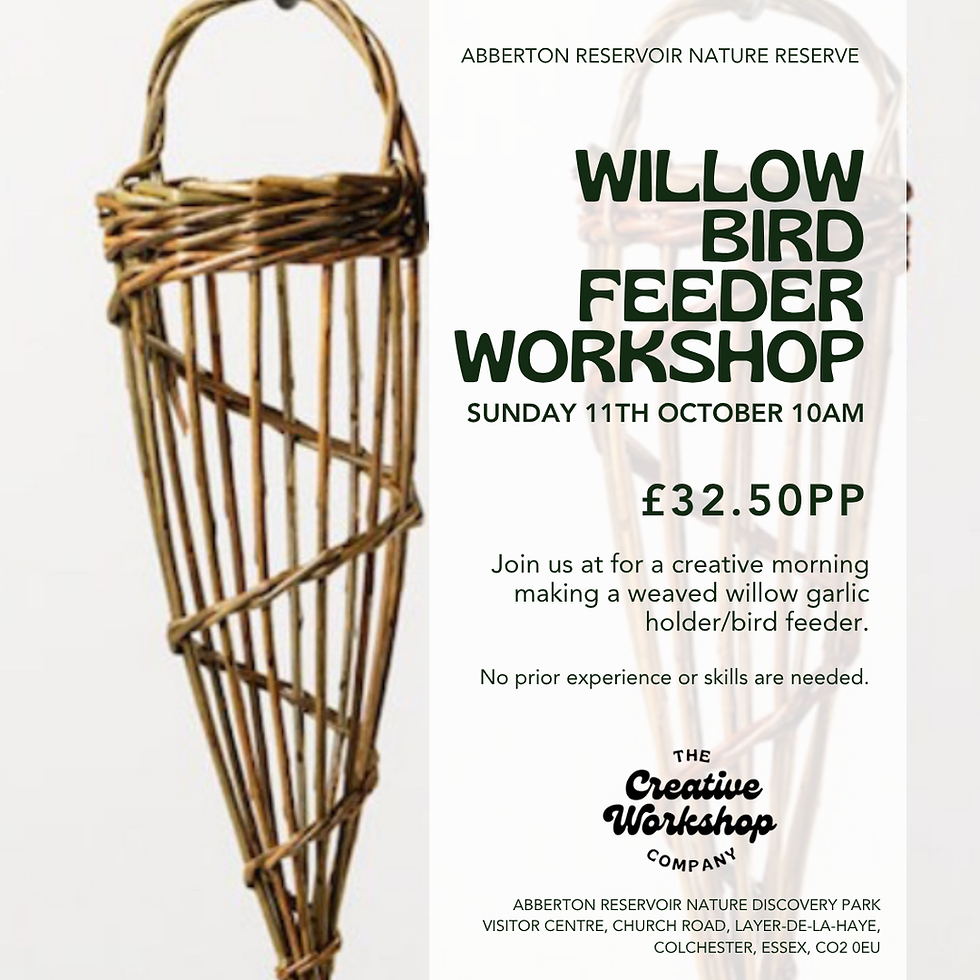 Willow Bird Feeder Workshop