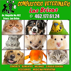 VETERINARI LAS BRISAS.png