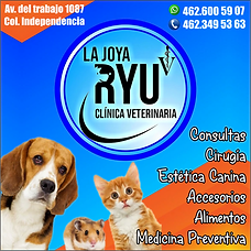 la joya riu.png