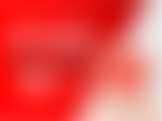 Demonstrativo Financeiro | Fevereiro 2025