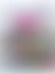 Jornal Nossos Passos - Novembro|2025