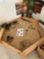 Moles Construction Area