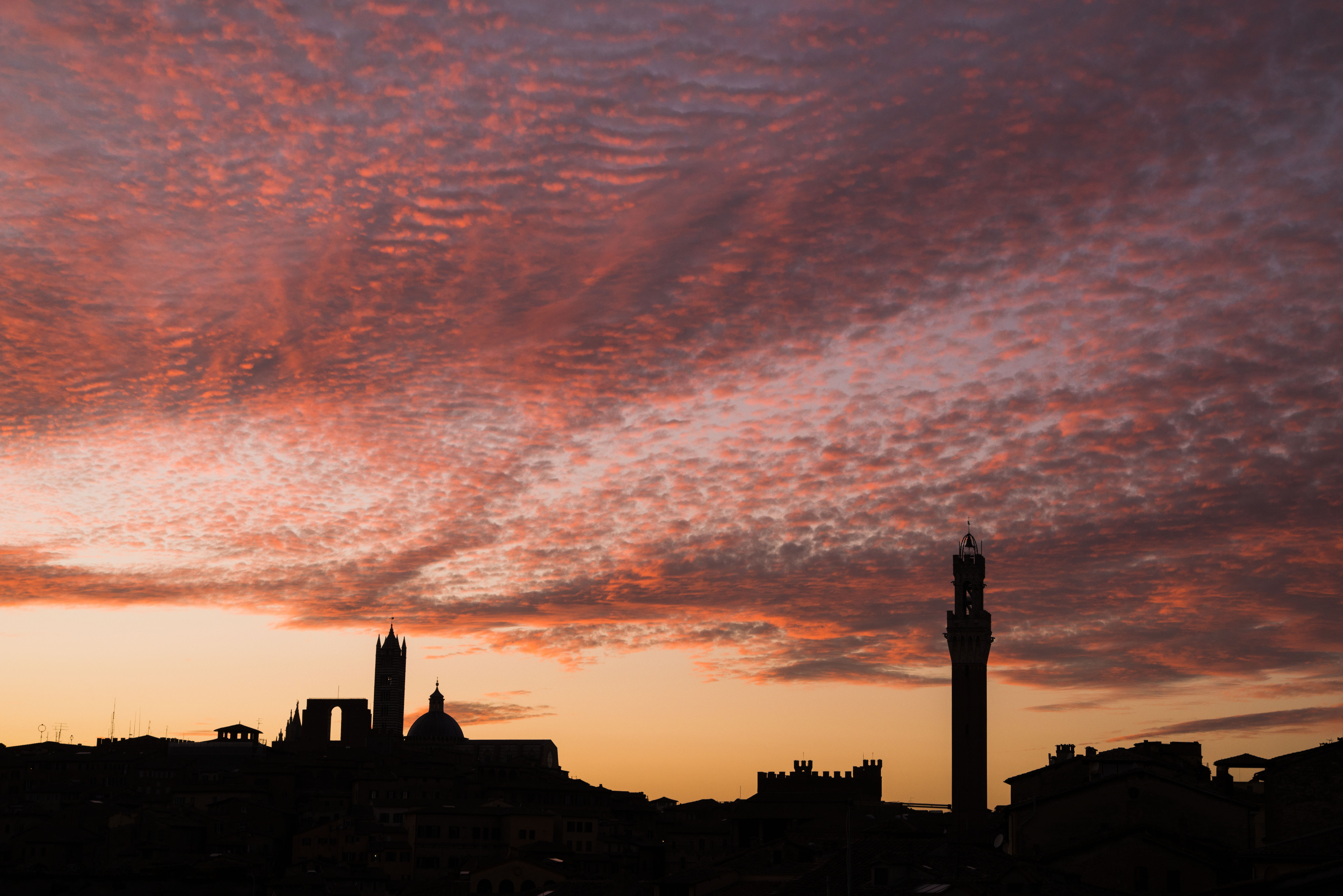 Skyline 3