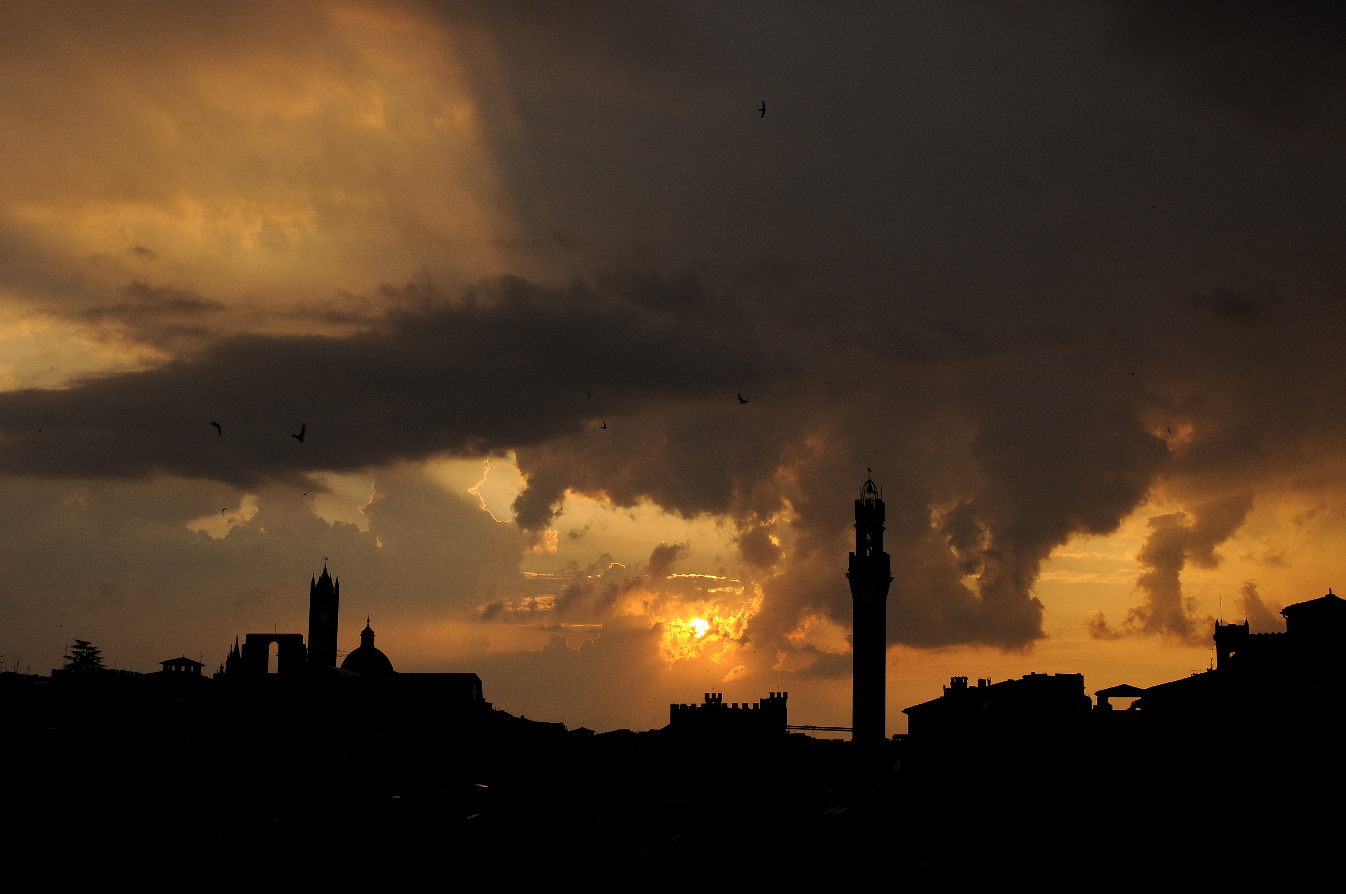 Skyline 1
