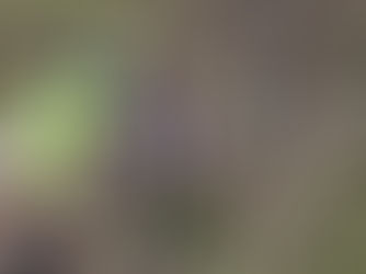 (초등과정) 봉학골 숲 체험 ( 봄)