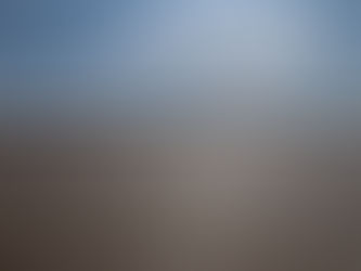 Footsteps On The Marsh