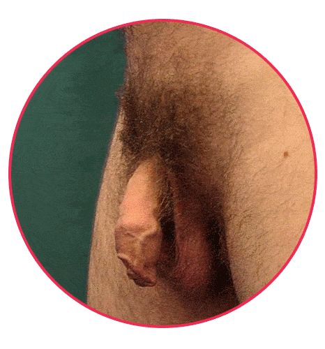 gif3.gif