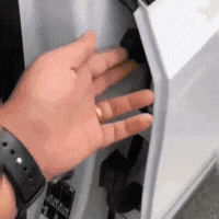 GIF 2.gif