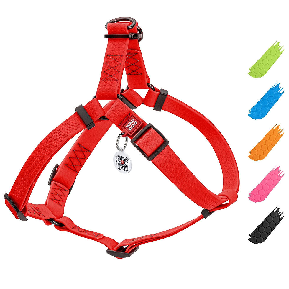 Miniatura: Red Waterproof Dog Harness Adjustable for Small Dogs S Size 1622 inch