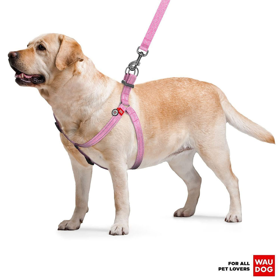 Miniatura: Pink Cotton Dog Harness Soft Eco Friendly Adjustable for Large Dogs L Size