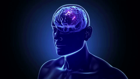 glow brain.gif