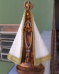 R$ 120,00