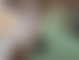 La población sin hogar de Wichita alcanzó el número más alto en 12 años